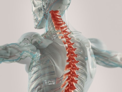 Spinal Cord Injuries